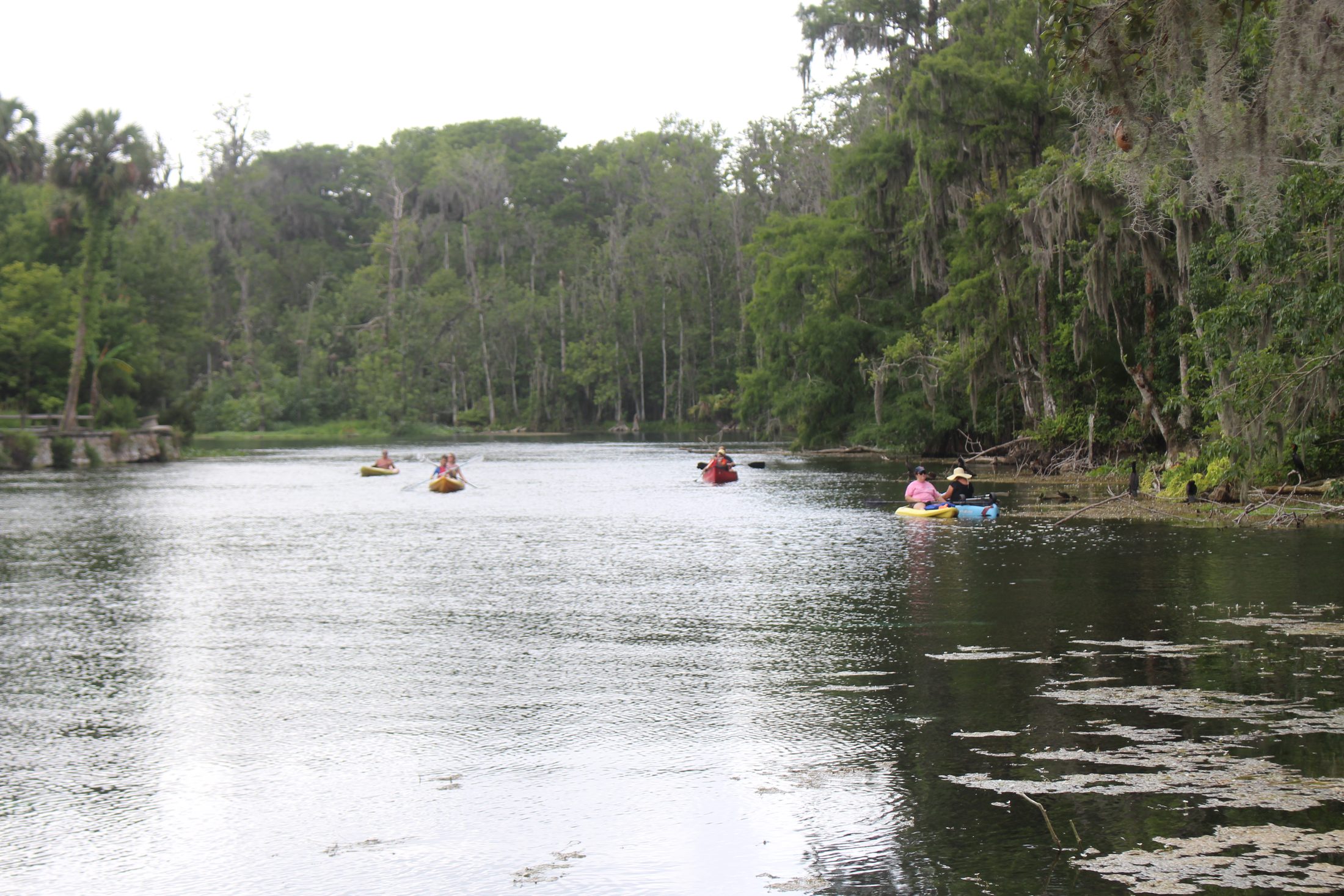 Group kayaking at Silver Springs
